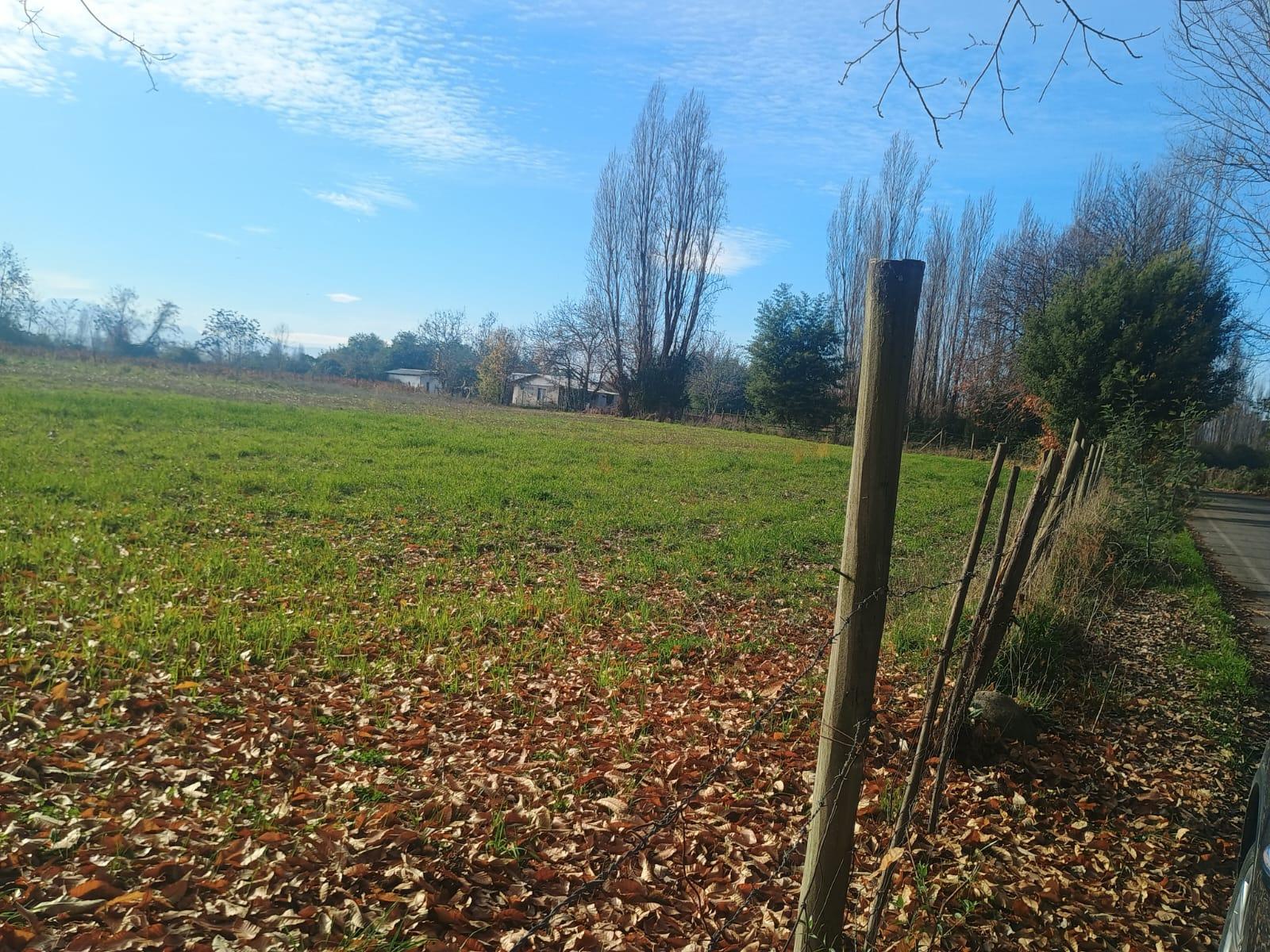 Image Se Vende 10.000 m2 en Las Camelias