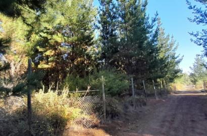 Parcela en venta Parral