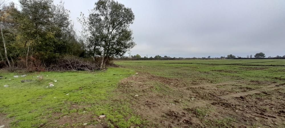 Venta de parcela en Parral
